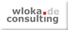 Wloka-Consulting_100x44